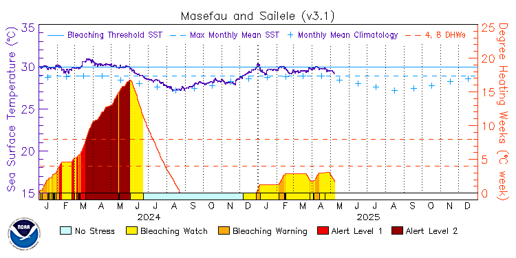 current SST time series