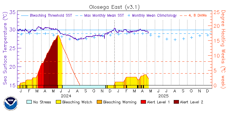 current SST time series
