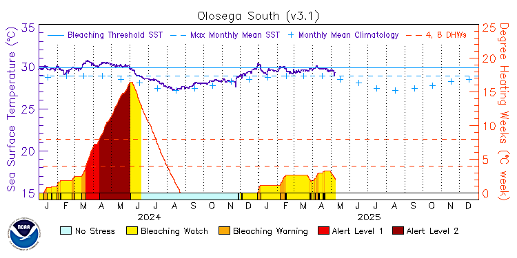 current SST time series