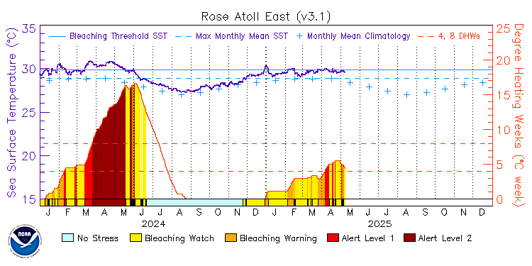 current SST time series