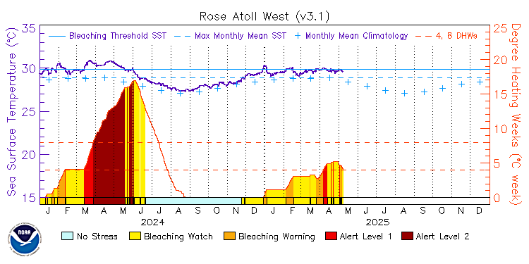 current SST time series