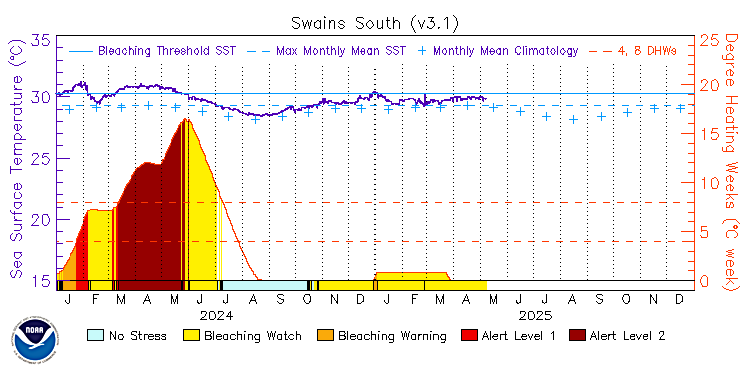 current SST time series