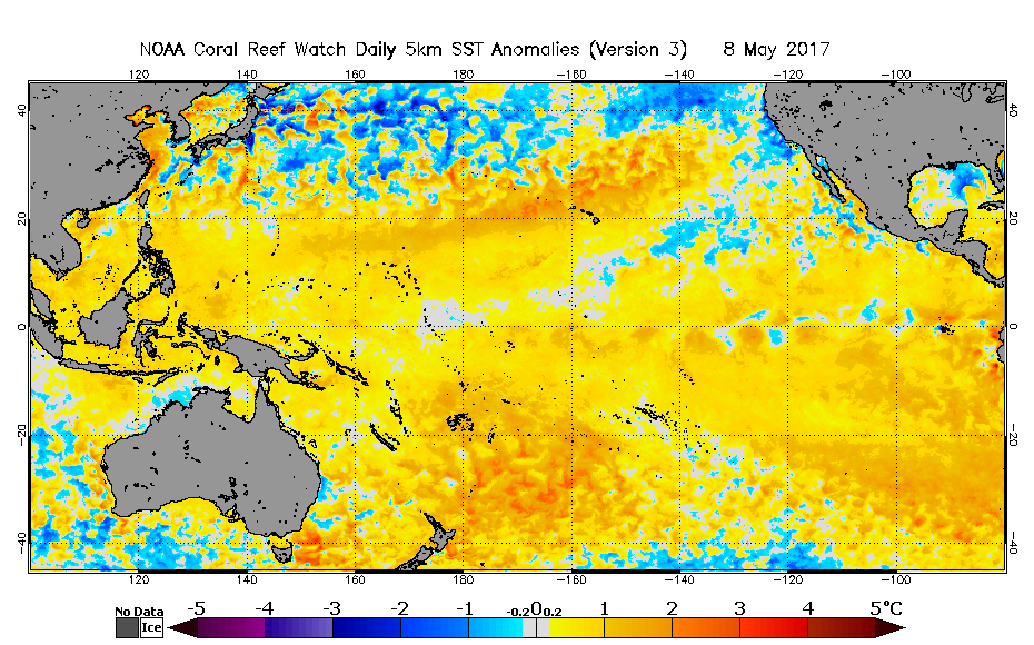 2017 May 08 SST Anomaly map