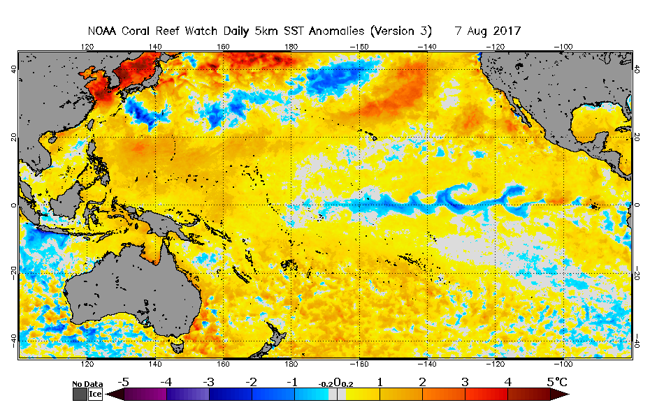 2017 Aug 07 SST Anomaly map