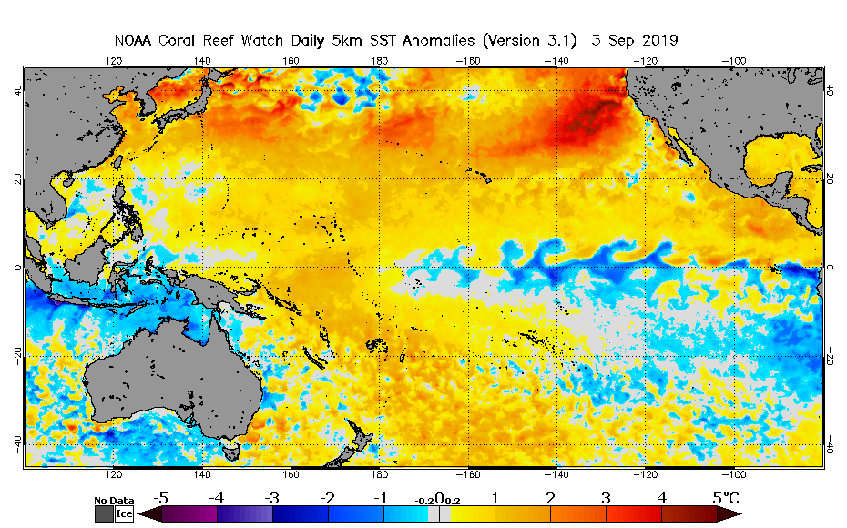 2019 Sep 03 SST Anomaly map