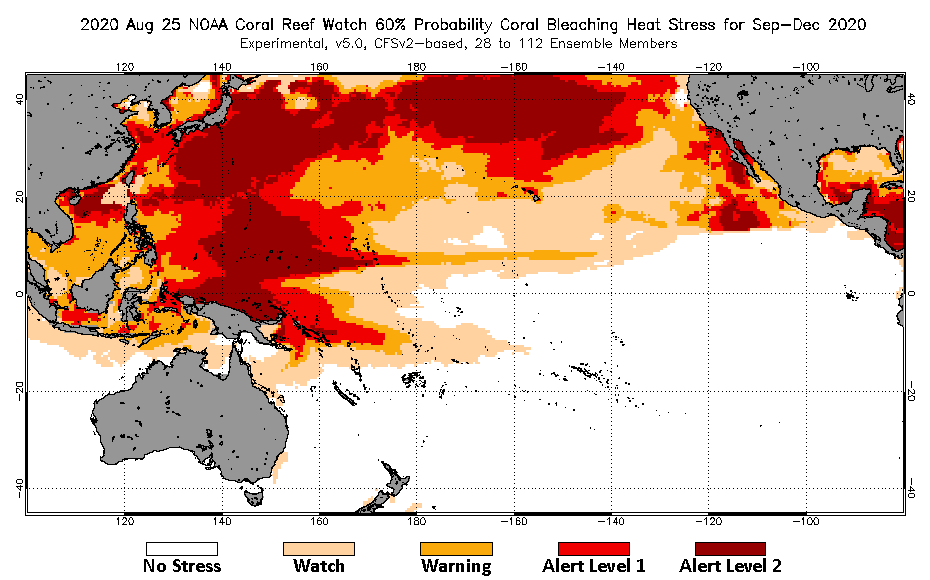 2020 Aug 25 Four-Month Bleaching Outlook map