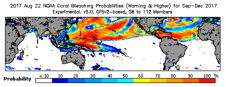 Current Bleaching Heat Stress Outlook Probability - Warning and higher