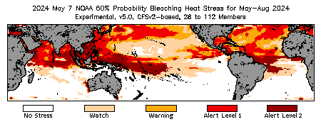 Bleaching Outlook - 60% probability