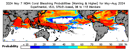 Current Bleaching Heat Stress Outlook Probability - Warning and higher