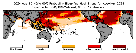 Bleaching Outlook - 60% probability