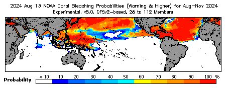 Current Bleaching Heat Stress Outlook Probability - Warning and higher