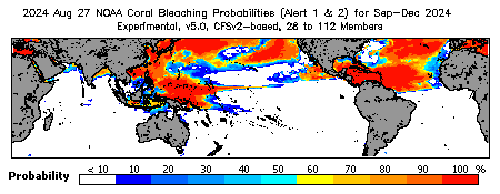 Current Bleaching Heat Stress Outlook Probability - Alert Levels 1 and 2