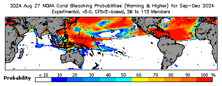 Current Bleaching Heat Stress Outlook Probability - Warning and higher