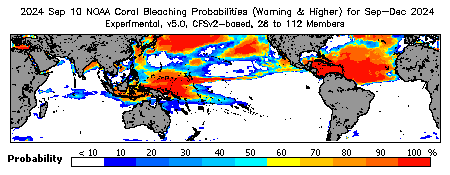 Current Bleaching Heat Stress Outlook Probability - Warning and higher