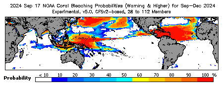 Current Bleaching Heat Stress Outlook Probability - Warning and higher