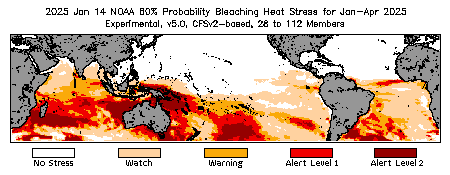 Bleaching Outlook - 60% probability