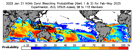 Current Bleaching Heat Stress Outlook Probability - Alert Levels 1 and 2