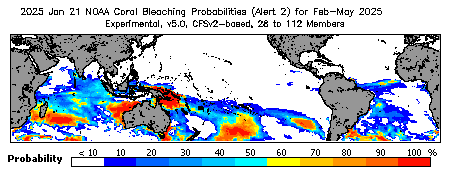 Current Bleaching Heat Stress Outlook Probability - Alert Level 2