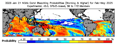 Current Bleaching Heat Stress Outlook Probability - Warning and higher