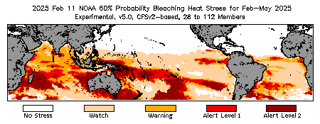 Bleaching Outlook - 60% probability