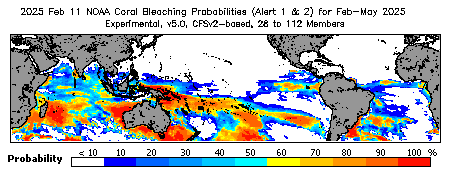 Current Bleaching Heat Stress Outlook Probability - Alert Levels 1 and 2