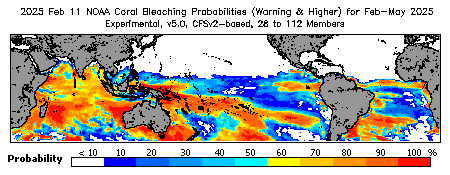 Current Bleaching Heat Stress Outlook Probability - Warning and higher