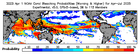 Current Bleaching Heat Stress Outlook Probability - Warning and higher