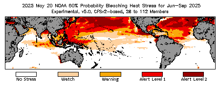 Bleaching Outlook - 60% probability