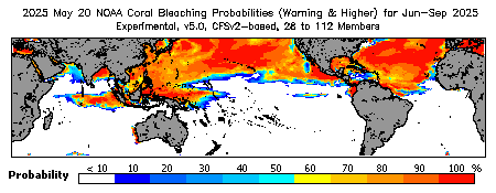Current Bleaching Heat Stress Outlook Probability - Warning and higher