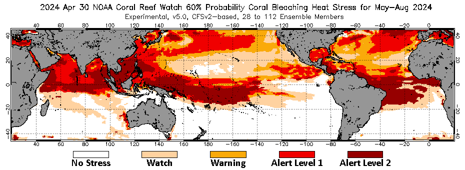 Current weekly global 60% Probability 4-Month Coral Bleaching Heat Stress Outlook image