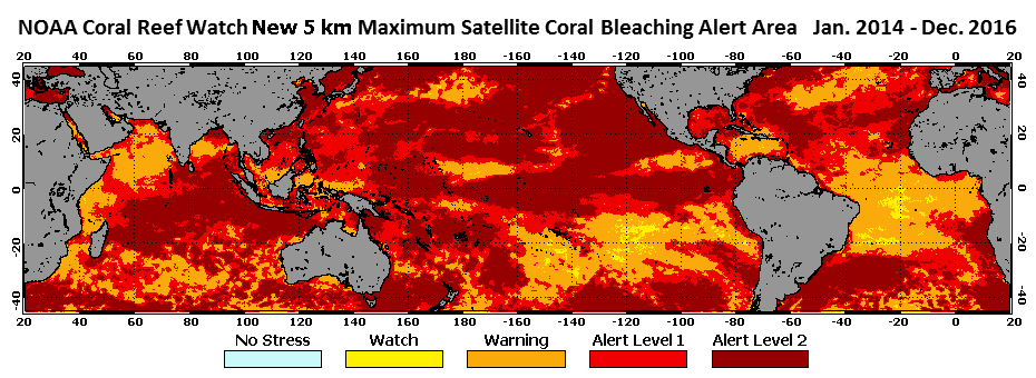 NASA-NOAA satellite tracks Isaias' development, movement, soaking potential